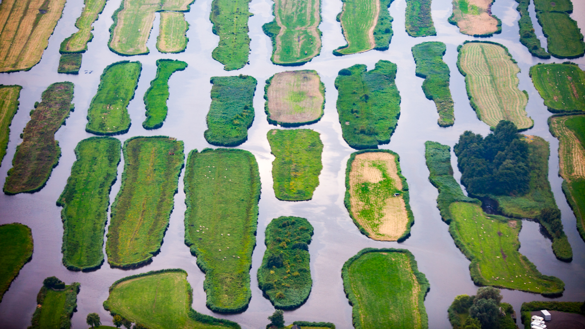 Dutch polder landscape